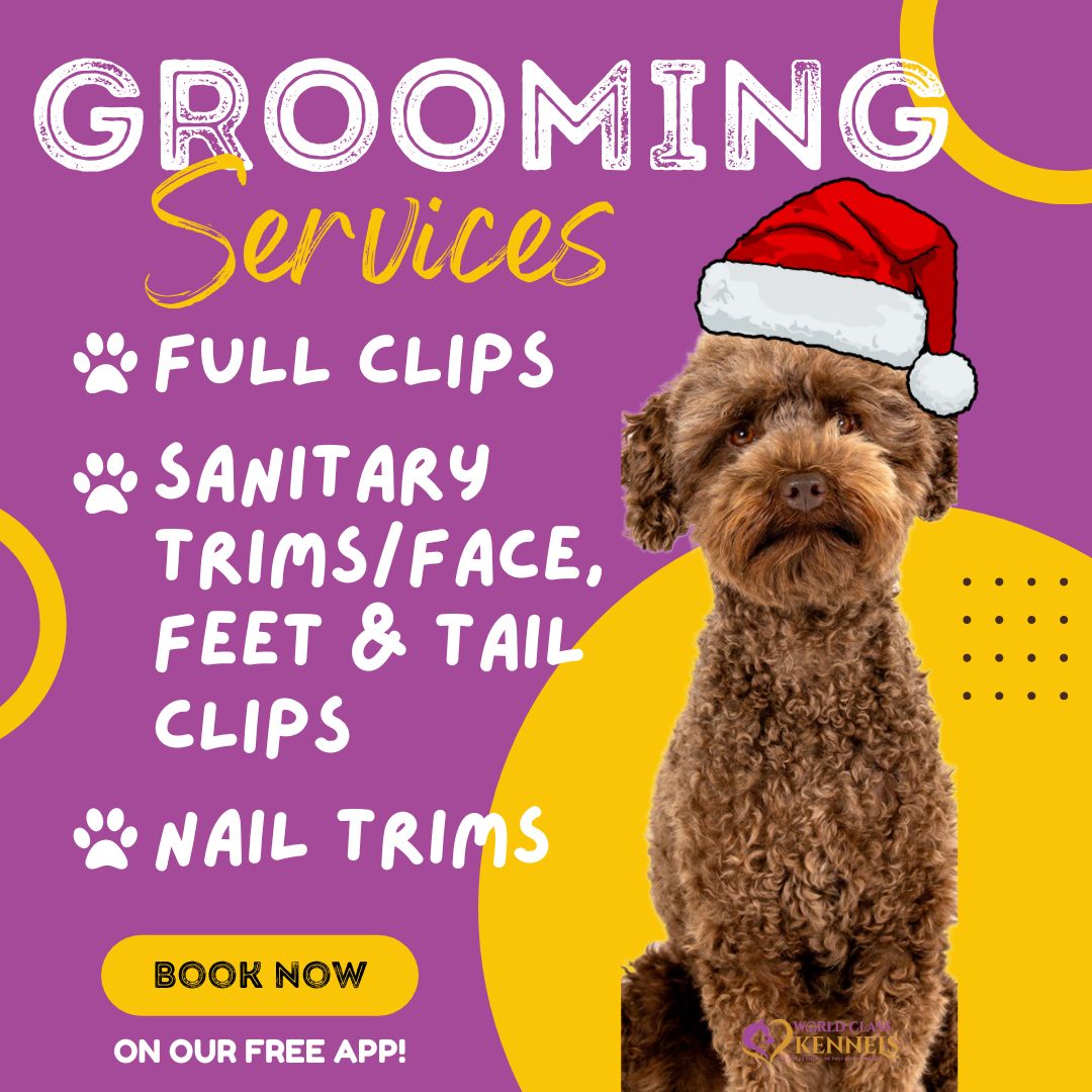 WCK35078's tweet photo. Helping your furry friend look their best!! Learn more on our website at https://t.co/oiny9rntgg
#HighlandLakes #HelenaAL #ForestOaks #AlabasterAL #hooveral #DogBoarding #DogGrooming #OdenvilleAL #HarpersvilleAL #KittyKennels #PetTaxi #VincentAL https://t.co/AjrwpzwAba