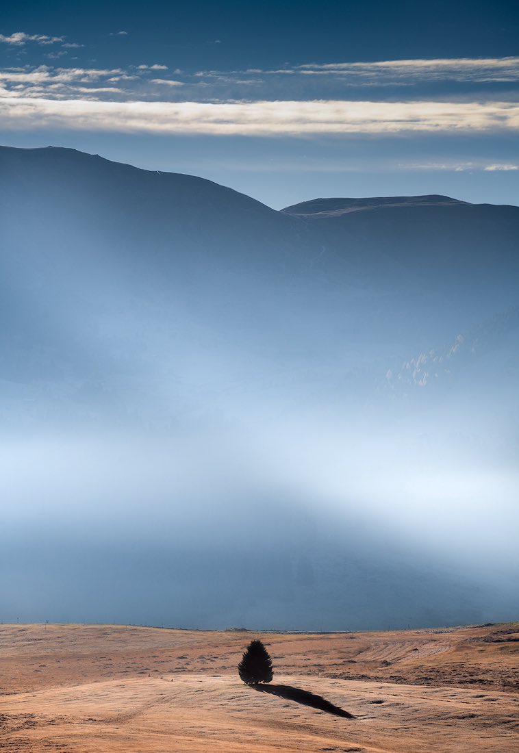 Isabella Tabacchi tweet media