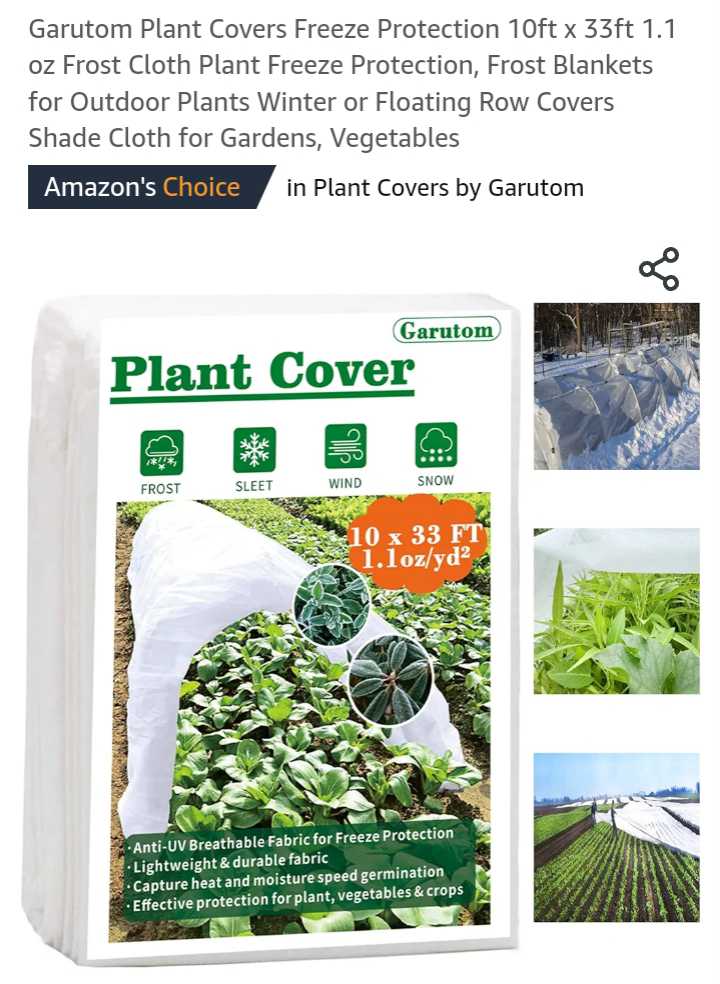 AdaneArafat's tweet photo. Interested person please message me 📥.
#amazonreview
#freeamazonproducts
#honestseller https://t.co/kRcJbxTbMz