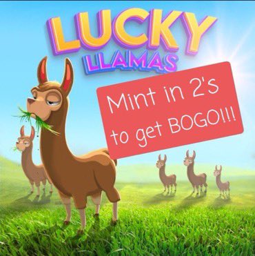 BlessCCCXXIX's tweet photo. @iampapito_eth 🍀🦙🧡🟪 
GM GM 🫶🏼 

 #NFT by @theluckyllamas 

Founders : @ChapoETH &amp; @iampapito_eth 

Artist : @jon_winchell 

Link: Minting Now👇🏼
https://t.co/bSg303nuQQ

#NFT #NFTs #NFTCollection #MintingNow #NFTCommuntiy #nftcollectors #NFTPFP #Llamas #BLSSD https://t.co/AzIGHntuTz