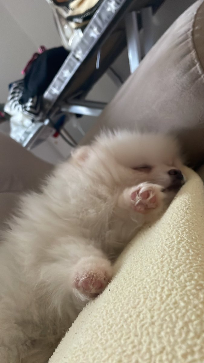 analagoo's tweet photo. me han echo la niña más feliz del mundo 🥹 https://t.co/mSNPhEQyce