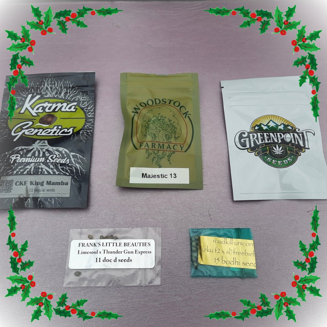 DCSeedExchange's tweet photo. Get ready for incredible deals on seeds at D.C. Seed Exchange's December Auctions! No reserve prices! You could walk away with a pack of top-quality seeds for a fraction of the usual price: https://t.co/RvN6m8f0LS
#seedauction #CannabisCommunity #cannabisgrower #dcseedexchange https://t.co/Vw4UdVaTaV