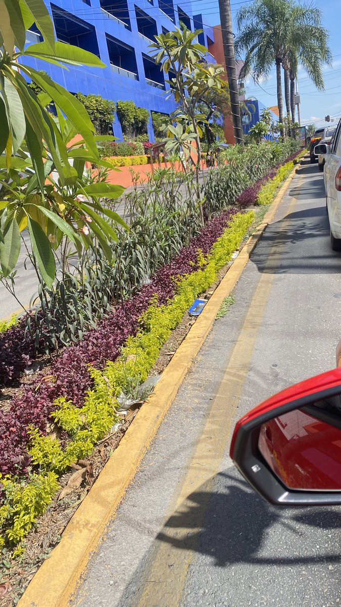 luperuizdelrio's tweet image. Apenas hace un par de meses el @CuernavacaGob plantó estas plantas en el camellón de la Avenida Plan de Ayala y ahora se están secando. Que gasto tan inútil de dinero, en lugar mejor hubieran bacheado que tanta falta le hace a Cuernavaca #joseluisuriostegui