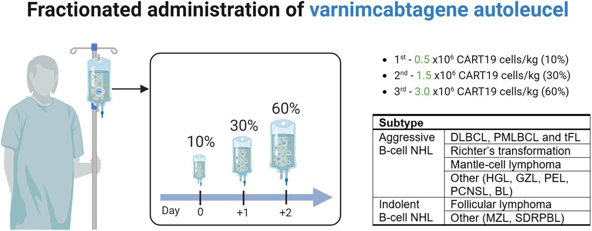 Varnimcabtagene autoleucel, an academic anti-CD19 CAR T cell (ARI-0001), shows efficacy in relapsed/refractory B-cell lymphoma

onlinelibrary.wiley.com/doi/10.1111/bj… 

#lymsm #TCellRx #ASH23 

@JulioDelgadoHem @Manel_JuanOtero @ValentinOrtizMD @mozasp @GuedanS @fdezdelarrea