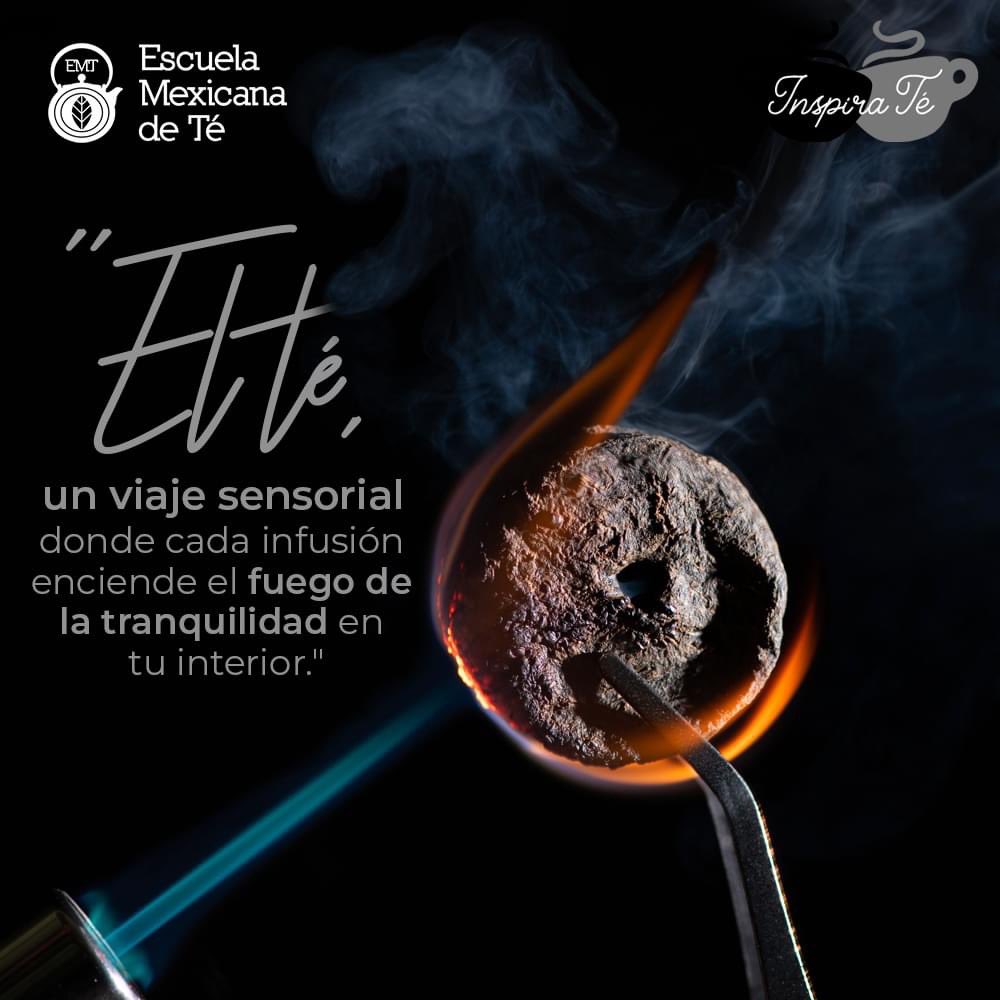 "El té, un viaje sensorial donde cada infusión enciende el fuego de la tranquilidad en tu interior." 🍵🔥✨

#teastagram #tealicious #tealovers #teatime #teaquotes #inspirate