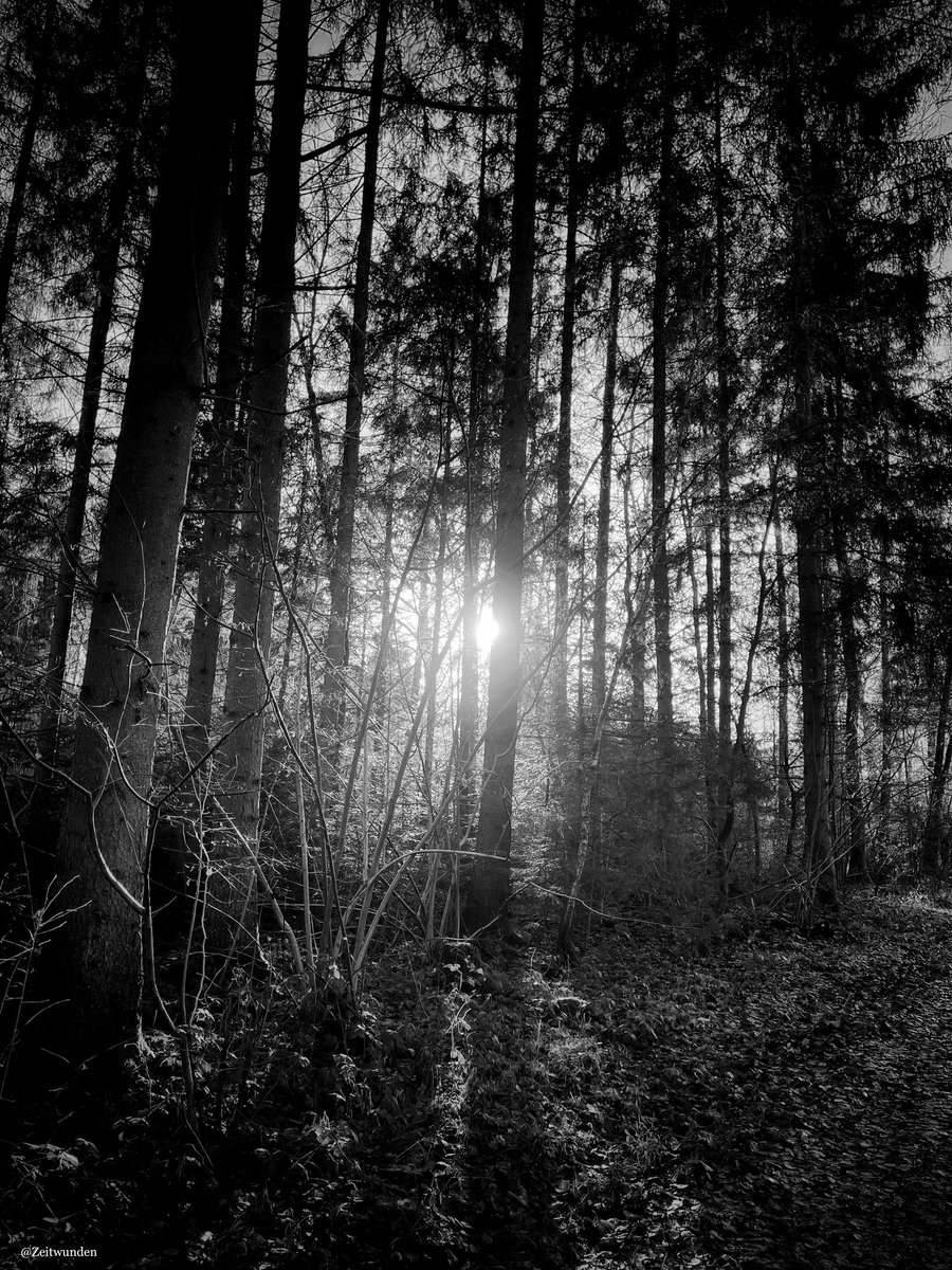 ƵϢ (@zeitwunden) on Twitter photo 