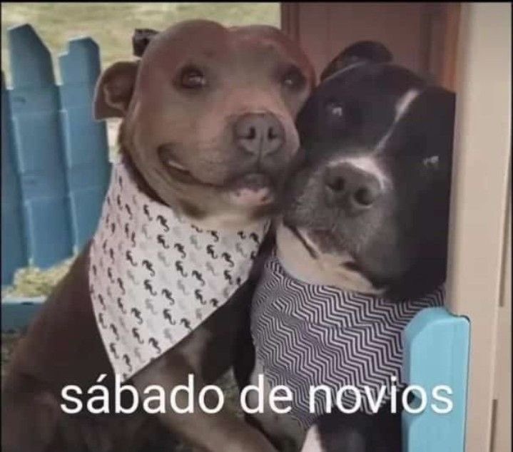 sussierave's tweet photo. el día está pa’ estar así: https://t.co/vYSoduChzz