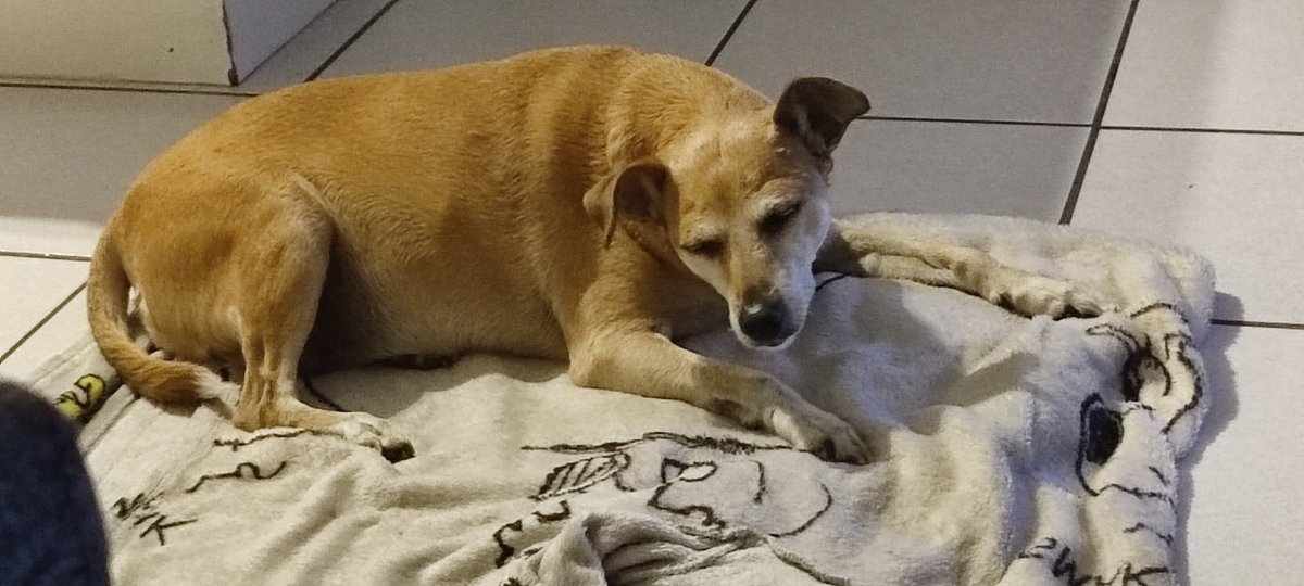 How does she sleep like this?