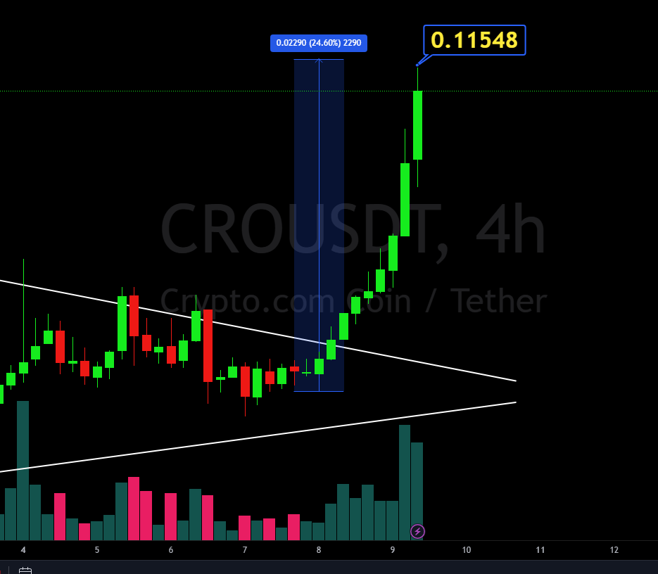realOscarRamos1's tweet photo. I was right #crofam🦾🔥
🚨#Cryptocom and ALL CRONOS Ecosystem Tokens MOVING #CRO🚀NEXT 13¢🚀 https://t.co/1Q9qlsxn75