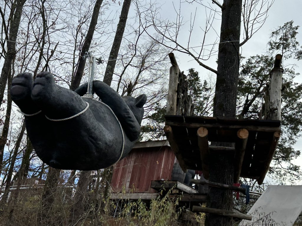 WildcatCoasters's tweet photo. Another AMAZING ride on Pigeon Forge’s newest mountain coaster #LostMine! A definite winner for the area and STILL my #1 mountain coaster!! Check it out during your next trip to PF/Gaitlinburg https://t.co/25EKOnutV3