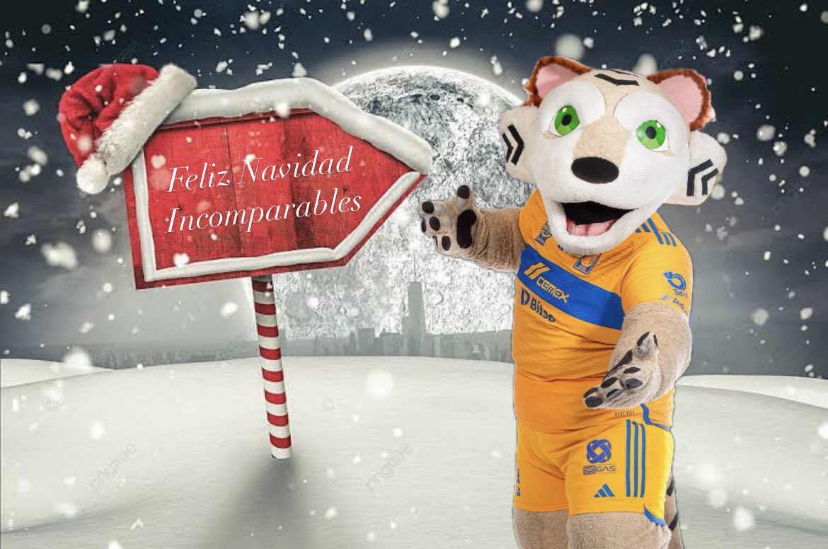 aaronmtz7's tweet photo. @TigresOficial @CervezaTecate #CervezaOficial @CervezaTecate @TigresOficial 
En el Polo Norte esperan nuestro regalo de Navidad!!!
#VamosporlaCopa https://t.co/xWyaxFkMrO