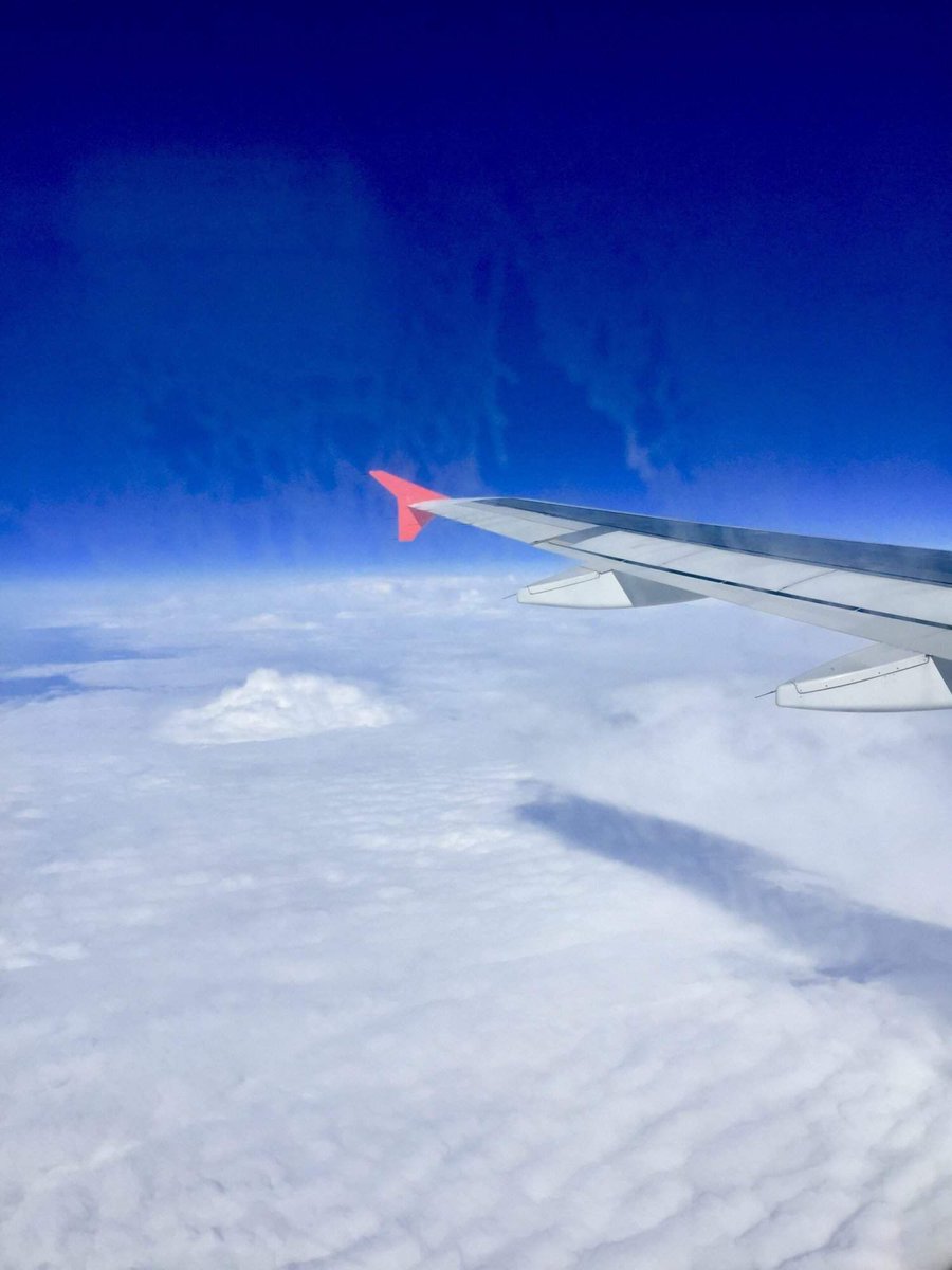 jadinearnold's tweet image. 11 Ways To Make Your Next Flight More Bearable buff.ly/3t3g0Jh
11 Tips for a More Enjoyable Flight ✈️✨ Make your next flight a breeze with these helpful suggestions! #TravelHacks #FlightTips