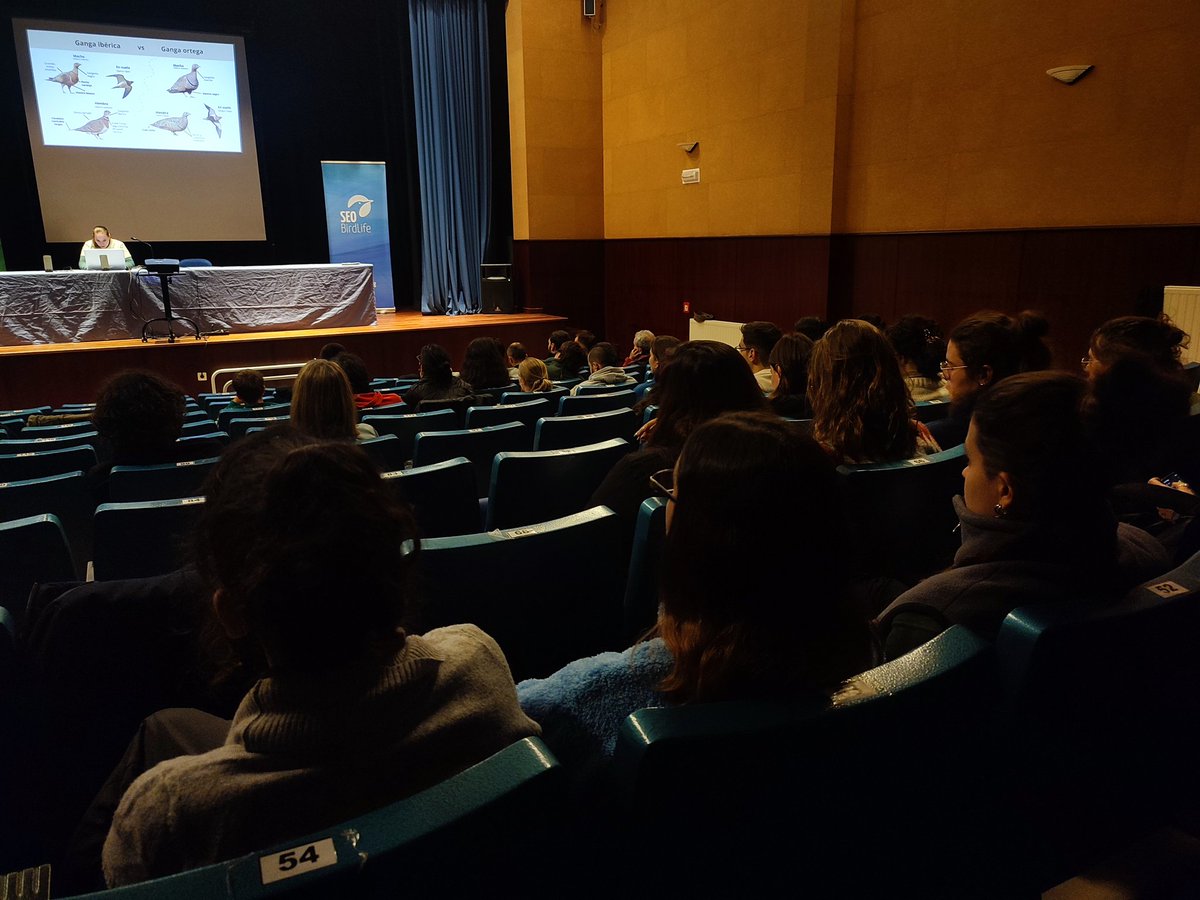 ASandovalRey's tweet photo. Cierra esta tarde de las I Jornadas Pajareras Juveniles de @SEO_BirdLife en O Vicedo y Mañón la charla de Jaroa López titulada "Patrones de actividad de la ganga ibérica". https://t.co/j8ZIFfPXK0