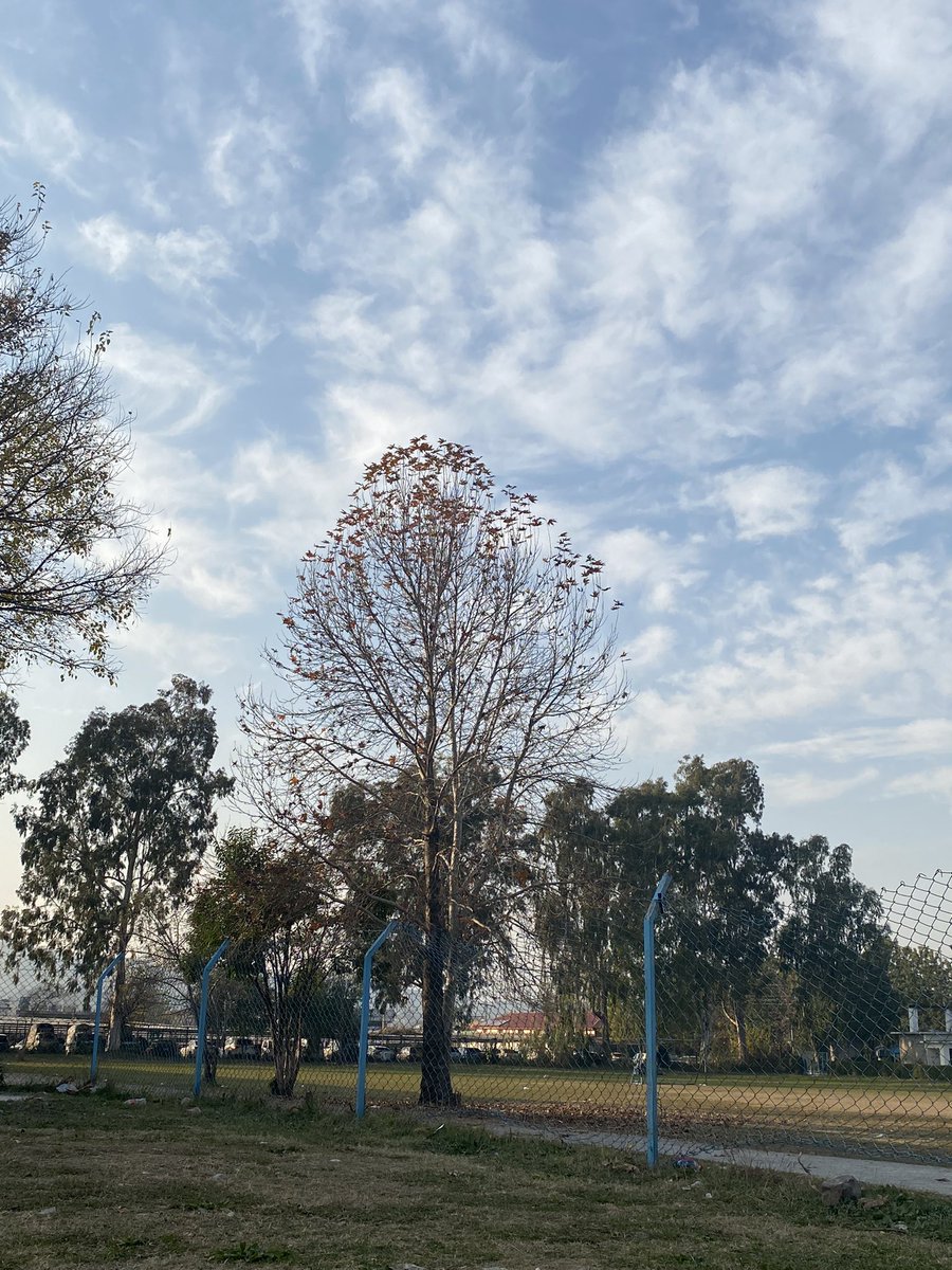 What do you think about nature??

Mountains or beach??