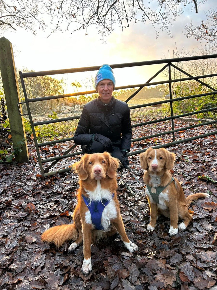 December Daily Dash 2023 decemberdailydash.com/fundraising/my…
We’d be grateful for any donations to help us through the next 22 dash’s🐶