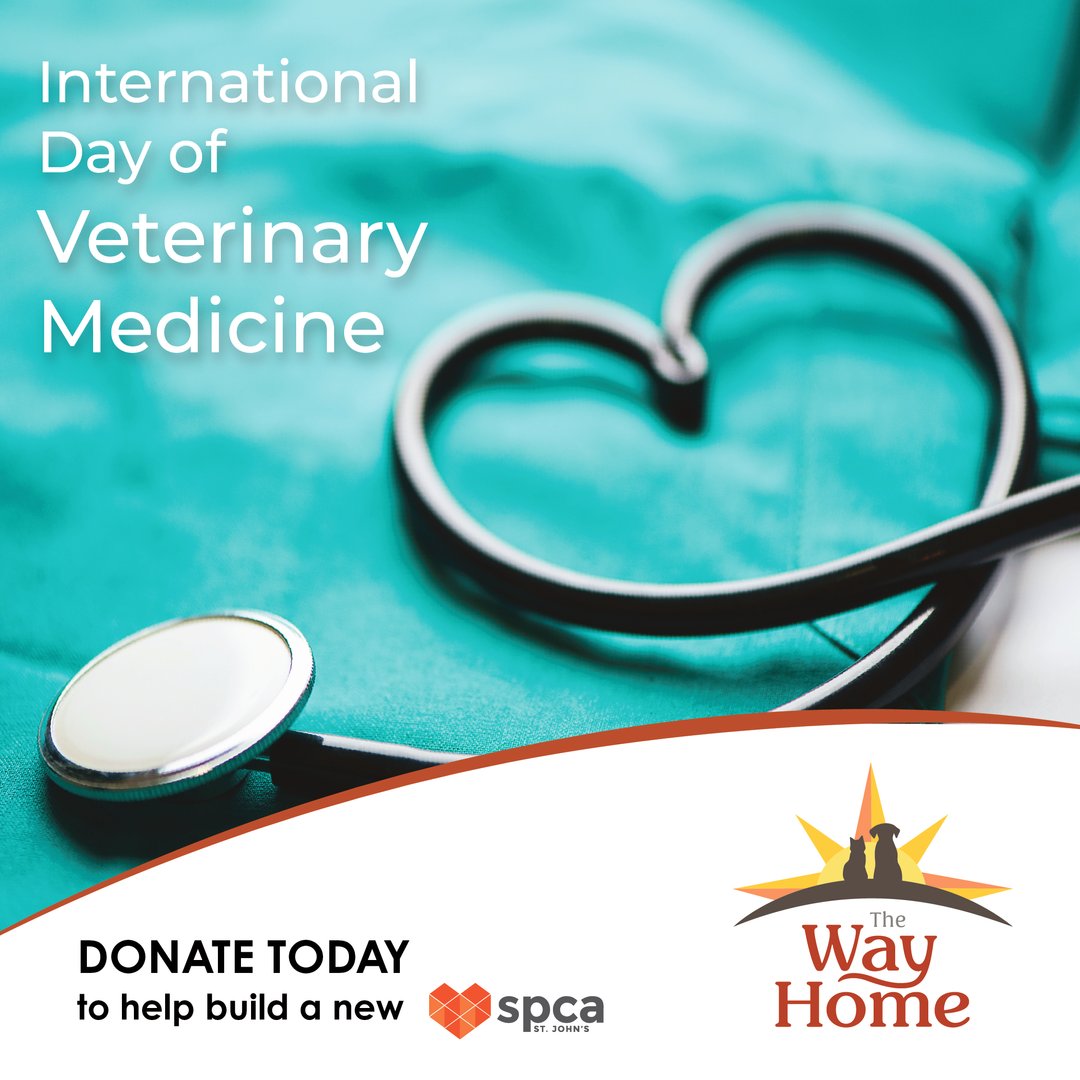 TheWayHomeSpca's tweet photo. Today, #InternationalDayOfVeterinaryMedicine, and every day, we appreciate the hard work vets do to take care of our furry friends. Make sure to thank a vet today! ❤️ 

Donate today to help build a new SPCA so more pets will be in safe and loving homes! #TheWayHome #SupportSPCA https://t.co/fxYQ0hzL9V