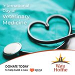Photo by The Way Home - Capital Campaign (@TheWayHomeSpca)