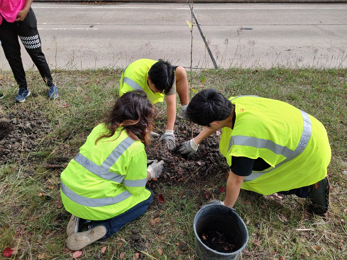 KHoustonB's tweet photo. Awesome work by the #Alief Super Neighborhood Council this morning planting 100 trees along Wilcrest! Thank you for what you do to #KeepHoustonBeautiful! https://t.co/xlvQ4FpJoP