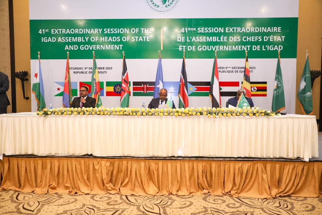 TheDailySomalia's tweet photo. During the 41st Extraordinary Session of the #IGAD Assembly, President @HassanSMohamud thanked to #IGAD leaders for #Somalia's membership to the East African Community @jumuiya and the lifting of the arms embargo. #IGADSummit
#EAC #Djibouti https://t.co/iSMe5LqJ7X