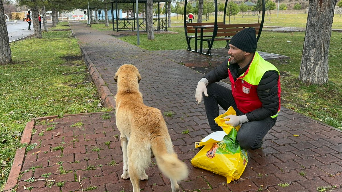 Türkuaz Arama Kurtarma Ekibi olarak bu gün mevsimin kış olmasından doğada kalan hayvanların beslenmesi için yola çıktık. Sponsorumuz Emniyet Cam a teşekkür ederiz 

<a href="/kayserivaliligi/">T.C.Kayseri Valiliği</a> 
<a href="/gokmen_cicek_/">Gökmen Çiçek</a> 
@MuratCahidCING 
<a href="/AFADBaskanlik/">AFAD</a>
<a href="/KayseriBSB/">Kayseri Büyükşehir Belediyesi</a>
<a href="/AndaKayseri/">Anda Kayseri</a> 
<a href="/AfadKayseri/">AFAD KAYSERİ</a>
