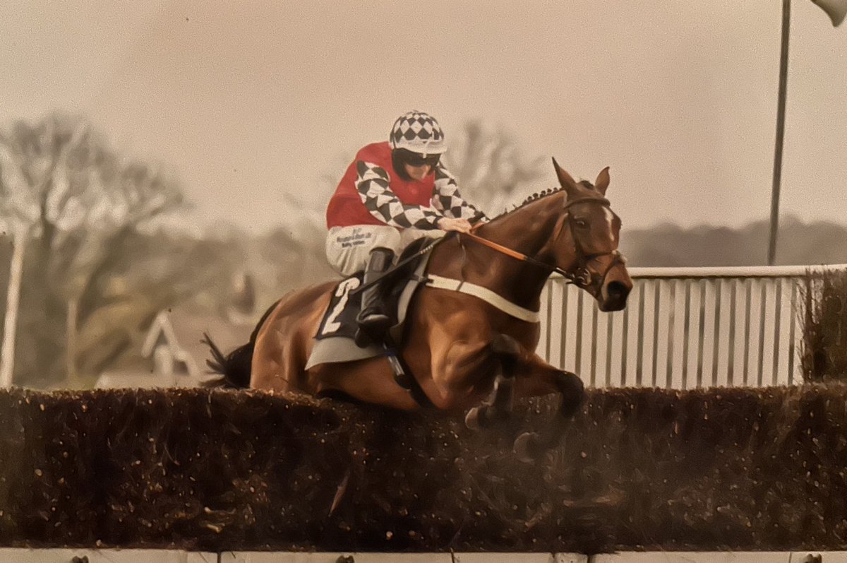 @plumptonraces Gold Clermont, two wins in eight days earlier this year in March/April over 3m 1 1/2f @plumptonraces amazing Amazing job from @Andrewirvine76 and Gem great rides by @philipa2000 and @quinn_caoilin Magical days