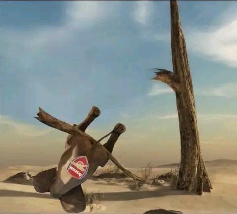 AnkoSamwel's tweet image. Ndovu kaanguka🤣
#VILARS