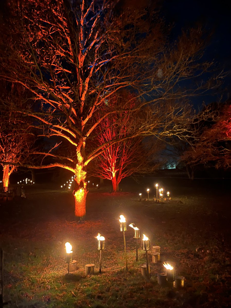 Excellent visit to see the lights and hear the sounds of the @TheBotanics Christmas illuminated trail last night. It was longer and even better than previous years, and improved by hot mulled wine and great company! 🔥

#botanics #edinburgh #christmastrail