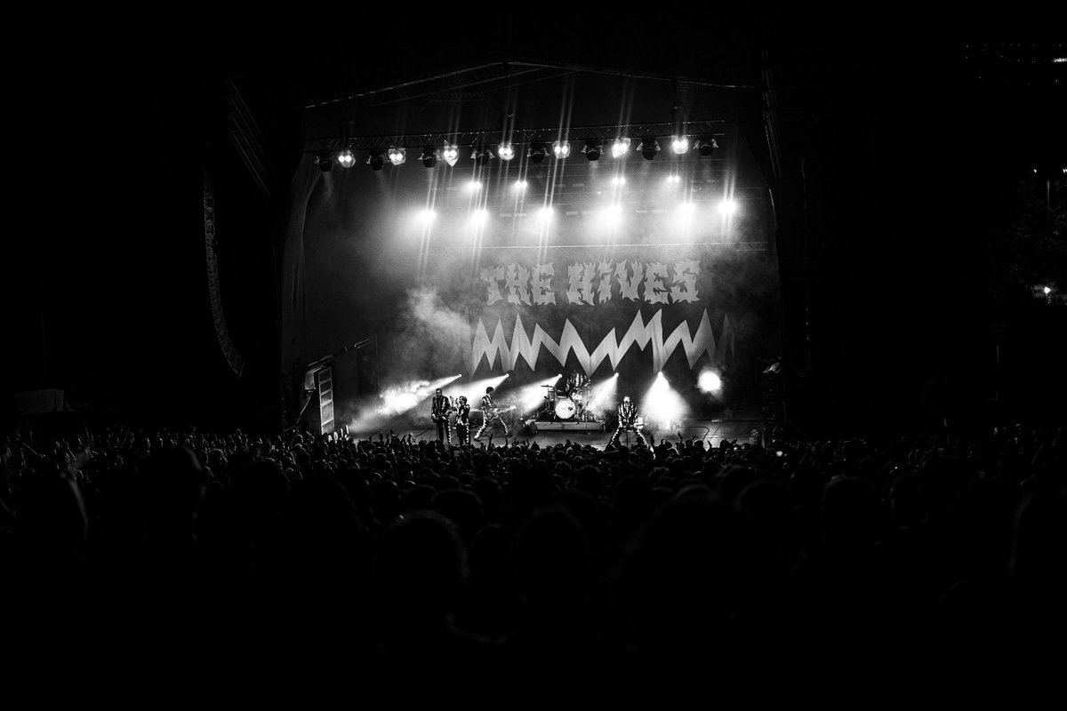 TheHives's tweet photo. 📍Venezuela 🇻🇪 https://t.co/DewS4vUXfD