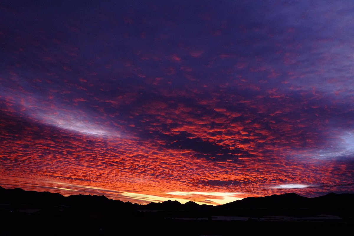 Una foto reciente en El Garrobillo (Águilas, Murcia)