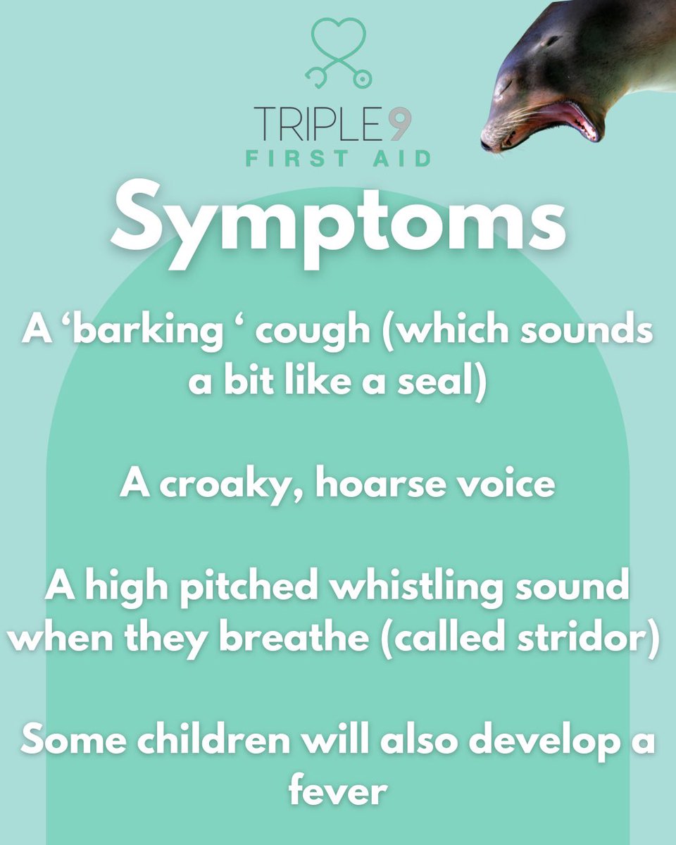 Triple 9 First Aid tweet media