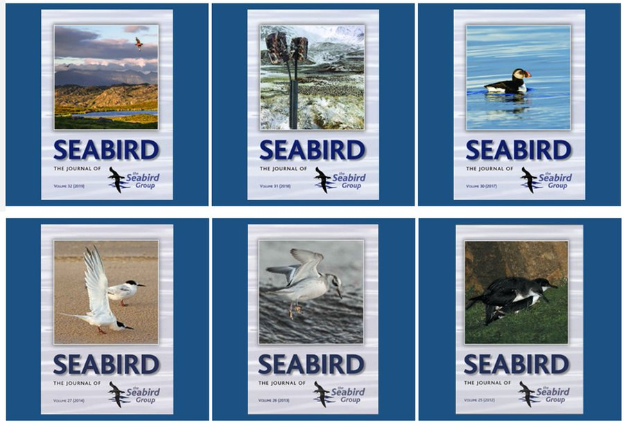 #Seabird photographers - we need your help! 📢
We're urgently looking for 2⃣ photos to be donated for  #SeabirdJournal No.35: 
✨ 1 Leach's petrel &amp; 1 European storm petrel ✨
If you have something you're happy to share, please DM us ASAP with your photo, name, date &amp; location.