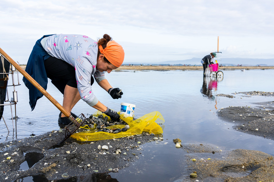 🦀 <a href="/AmarCarril/">AmarCarril</a> ofrece talleres de marisqueo en <a href="/VGAarousa/">Vilagarcía de Arousa</a>

En diversos parques de cultivo as mariscadoras explican de xeito didáctico o seu traballo para que calquera de nós poidamos entender de primeira man as suas labores, o cultivo, extracción e máis

#OrixeRíasBaixas