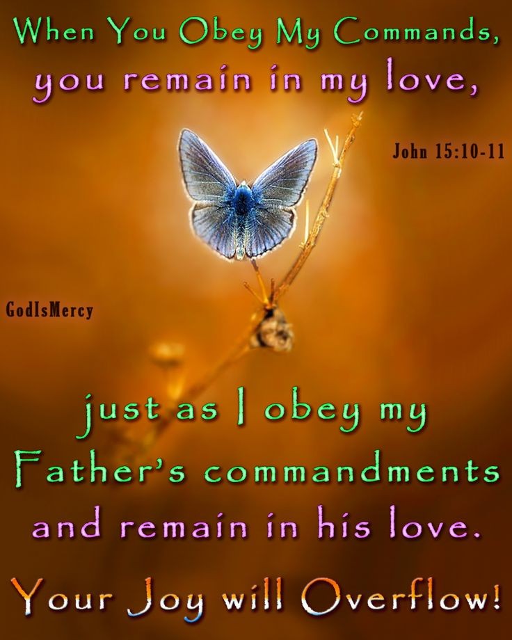 ministerricky1's tweet image. Almighty God #YouLoveUsFirst .. which means #YouSetTheExample for #HowToLove

Please #HelpUsLoveYou as #YouDeclareInTheBible

And #HelpUsLoveOthers as #YouInstructUs

In #YeshuaHaMashiach's All-Powerful Name

TY               
#EuropaAfricaUS