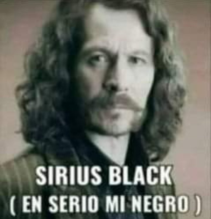 💙LINGOLINGOFC💜 tweet media