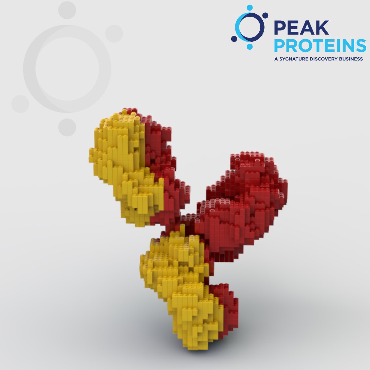 'Building' up to the Holiday Season - Day 9.

Antibodies at Peak Proteins (part of <a href="/SygnatureDiscov/">Sygnature Discovery</a> ). 

We have supported many antibody development projects including:
➡️ Multispecifics
➡️ ADCs
➡️ T-cell engagers
➡️ Fc fusions
➡️ Antibody fragments