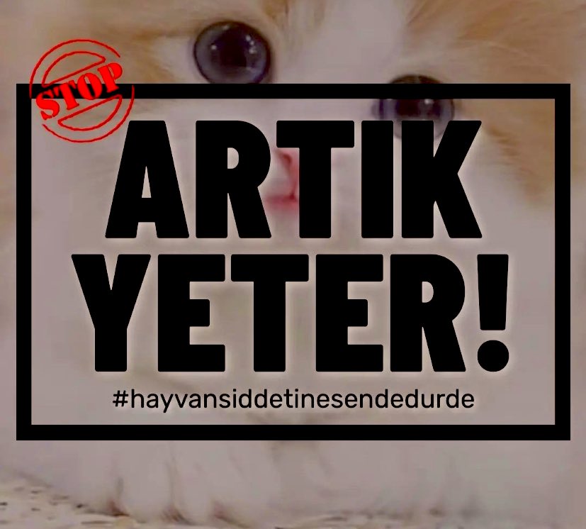 OzleyuMak's tweet photo. Hayvanlara yapılan şiddet,istismar,kötü muamele için,
Zorlama hapsi olan,
Alt limiti Ertelemesi olmayan,
Yatarı olan,
Para cezasına çevrilemeyecek
Ağır Cezalar,Yaptırım ve
Cezaların Koşulsuz Şartsız
Uygulanmasını İstiyoruz! #HayvanHaklarıAnayasa
#HayvanlarİçinAdalet
#SHSD https://t.co/L7FNi2tbRU