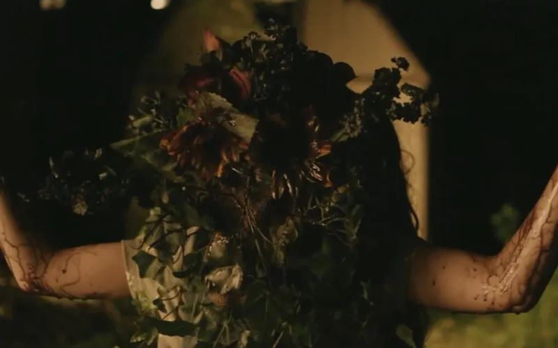 #Pollen (2023) 
Spoiler-free #HorrorReview so you can read before you watch!  #Psychological 
allhorror.com/6ef