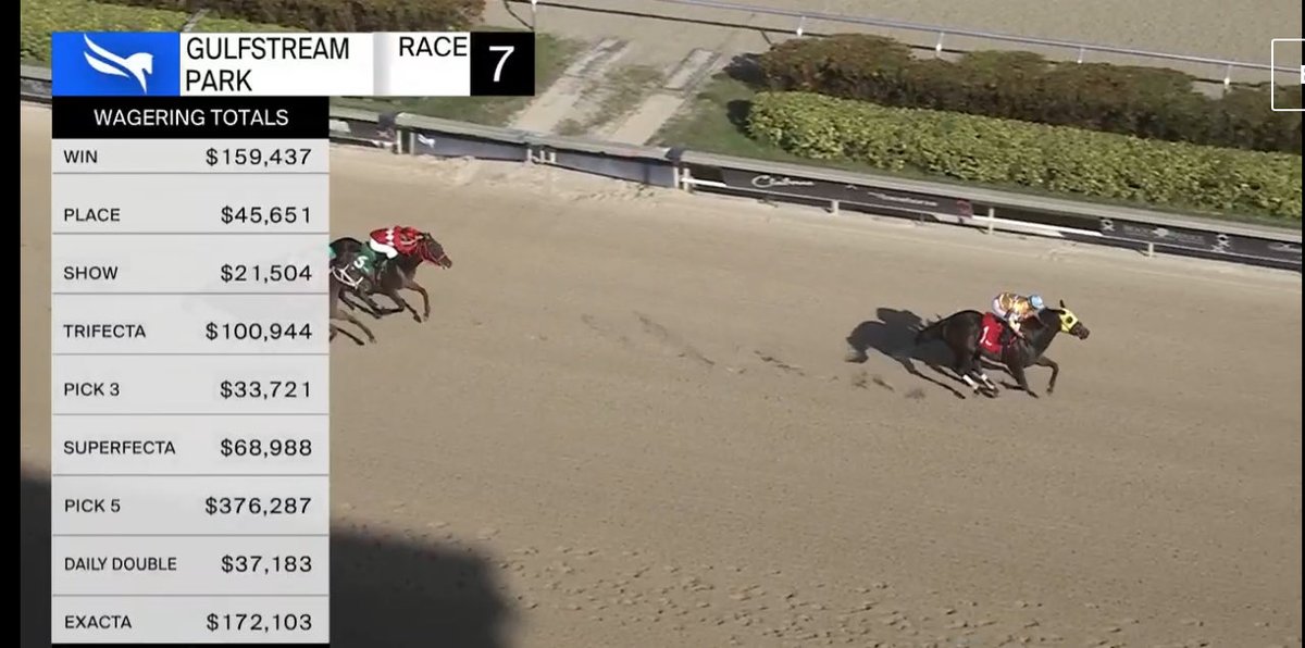 Inveigled stretches out for the win ⁦<a href="/GulfstreamPark/">Gulfstream Park</a>⁩ under ⁦<a href="/iradortiz/">Iradortiz</a>⁩ #goteam
