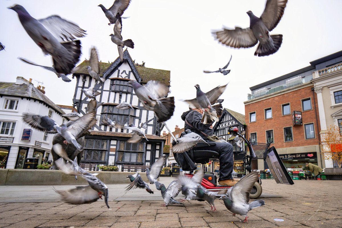 David and the pigeons in #Hereford, #Herefordshire.