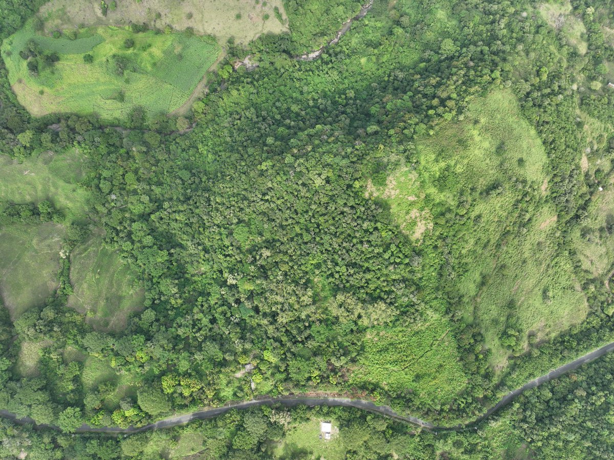 HomeFinder_SV's tweet photo. #Bitcoin Land for sale in El Salvador.
Invest in #bitcoinrealestate
21 Manzanas of land with ocean views for sale! 10 minutes from the ocean, 20 minutes to the airport, 20 minutes to Surf City! 
Price: 21 Bitcoin #btcrealestate #realestate More info: https://t.co/jUvW6KJnjx https://t.co/WCdjPw23bp