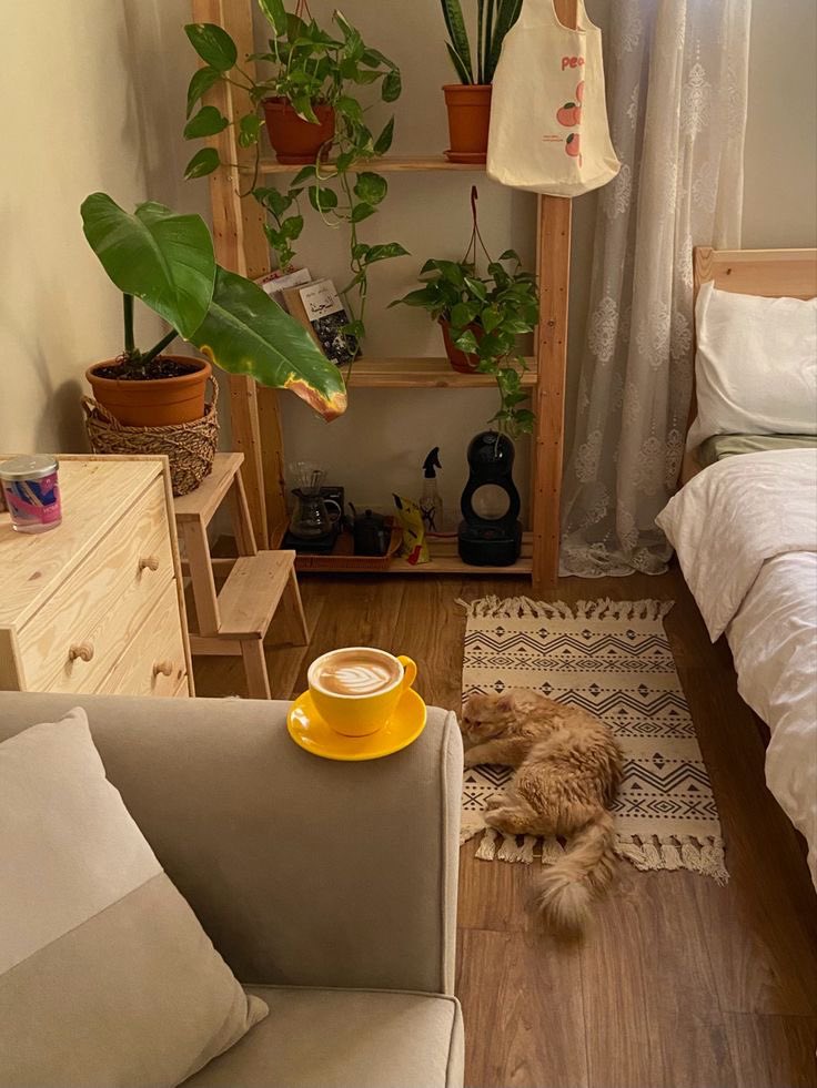 القهوة صديقة كل الاوقات 🤎🍂