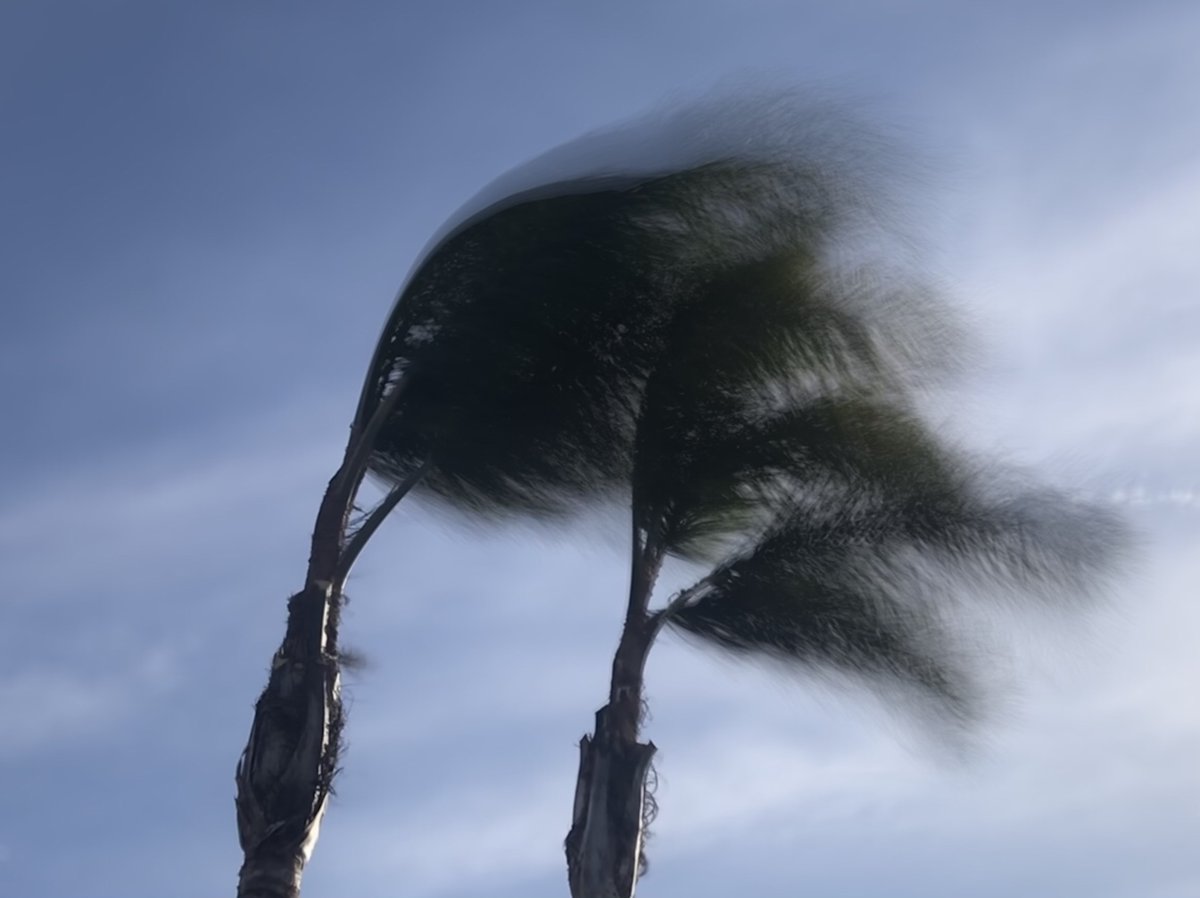 NWSLosAngeles's tweet photo. Been seeing some pretty strong winds this morning, especially in the Santa Susana Mtns where the top three gusts occurred-> Palo Sola Trk: 71 mph, Browns Cyn: 70 mph, Wiley Ridge: 70 mph. 
Follow link for more: https://t.co/tM72O9rkuA  #cawx #cawind #SantaAnaWinds https://t.co/vRqxQwjky4
