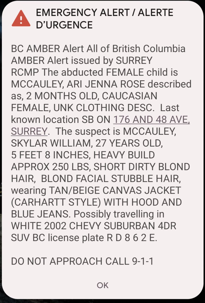 Michele (DCI Vera & DI Ash fan)🕵️‍♀️ tweet media