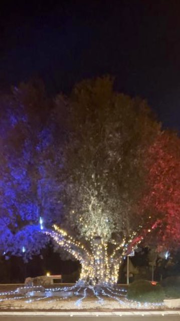 MurielRezze's tweet photo. Présente au Marché de Noël de Carry le Rouet #RN13 
Un bon moment avec les exposants et nos belles traditions !🇫🇷🇫🇷 https://t.co/awiWgi9zix
