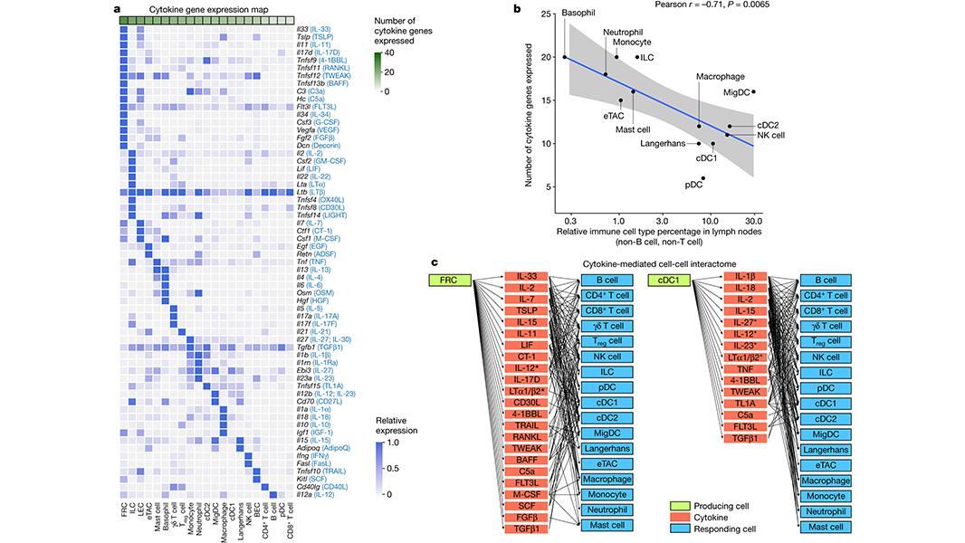 A @Nature paper presents the Immune Dictionary and its companion software, which is based on an analysis of in vivo responses to 86 cytokines across more than 17 immune cell types. go.nature.com/47JCq1d