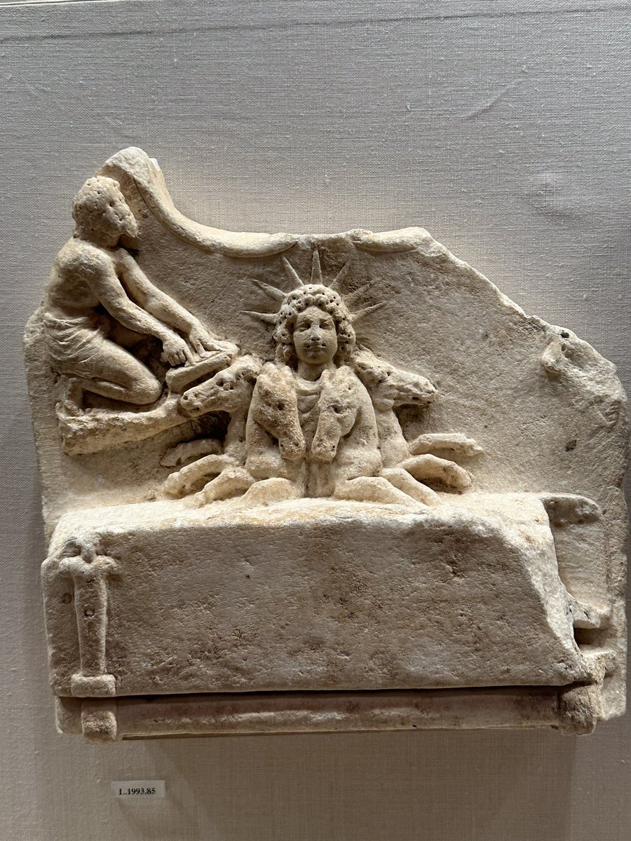 pharphiuchus's tweet image. 