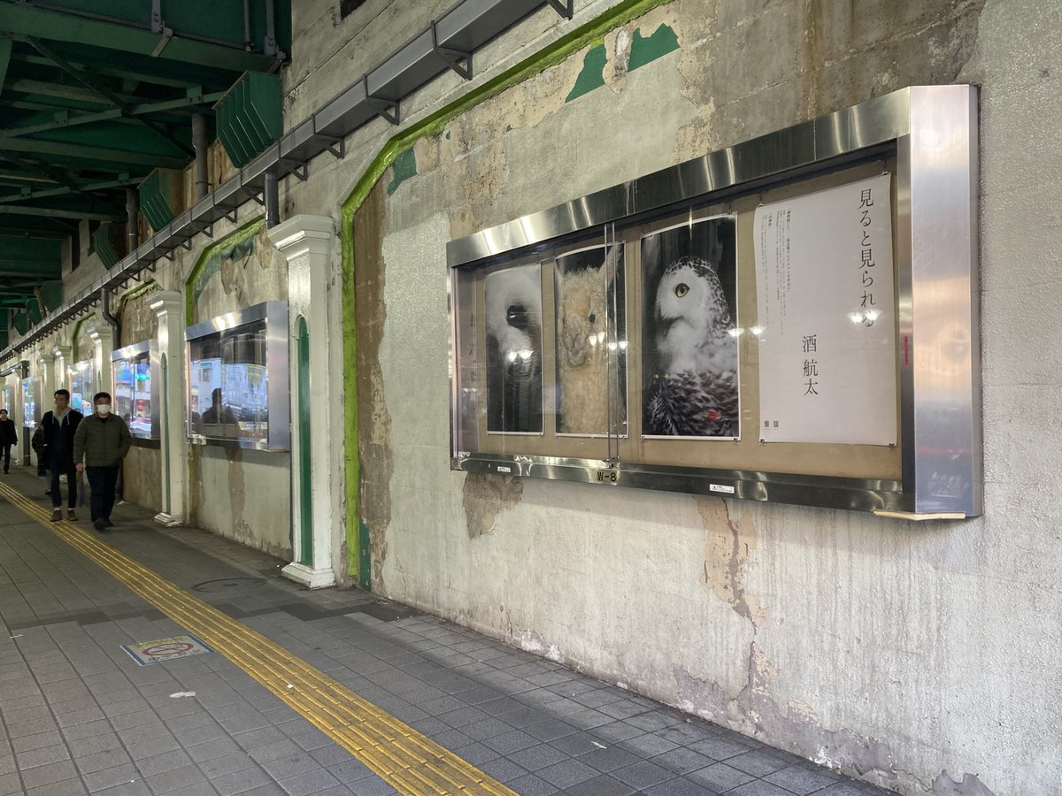 35minutesonly's tweet photo. 中野区からタイトル部分を含む冒頭4枚の写真の撤去命令が来ました。理由は設備の不備ということですが、特に不備は見当たらないし、そもそも管理者の不備から展示撤去というのは納得いかない。15日には強制撤去されてしまうようなので、完全な形での展示はそれまでになると思います。 https://t.co/aTYTr5W2Kl