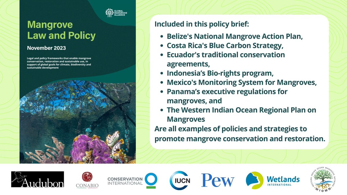 The Western Indian Ocean Mangrove Network proudly contributed to the recently released Mangrove Law and Policy, which emphasizes the crucial role of legal and policy frameworks in supporting international goals on mangroves for climate, biodiversity, and sustainable development.
