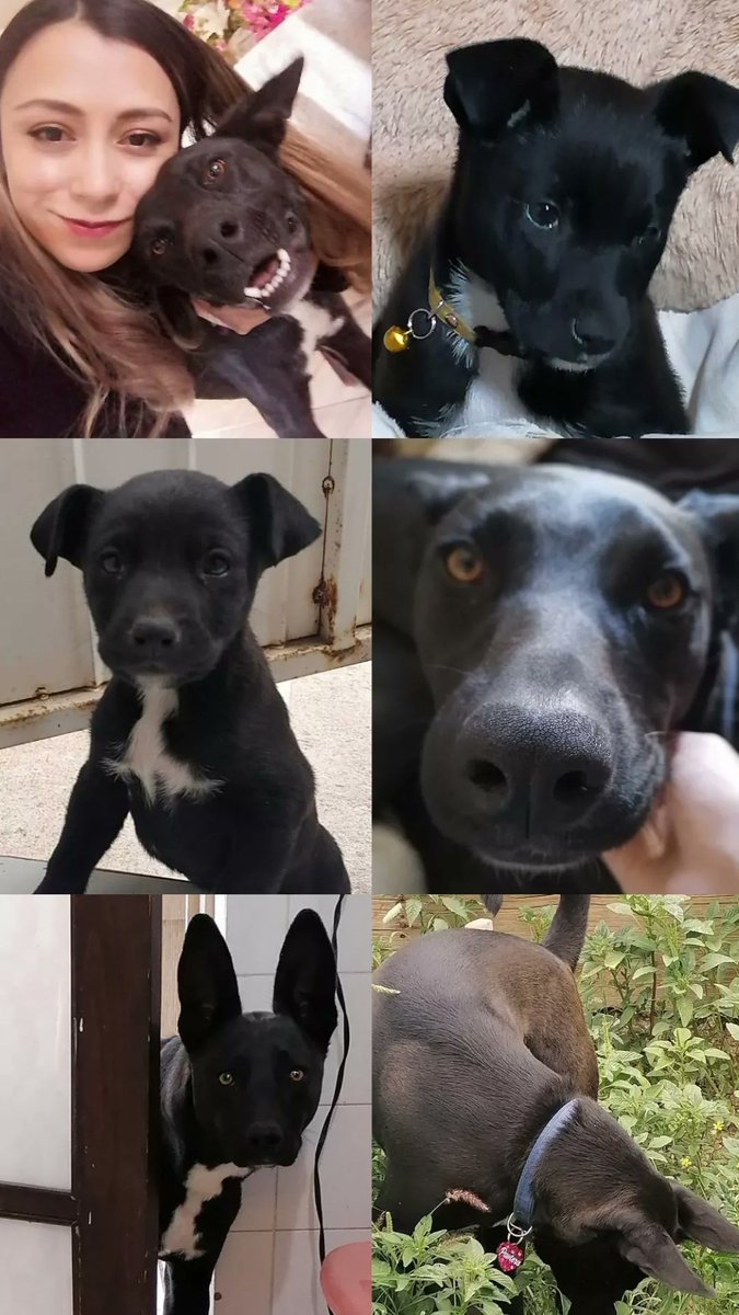 kartynz's tweet image. Y es ella la que me quiere tal y como soy 🖤 #3yearstogether