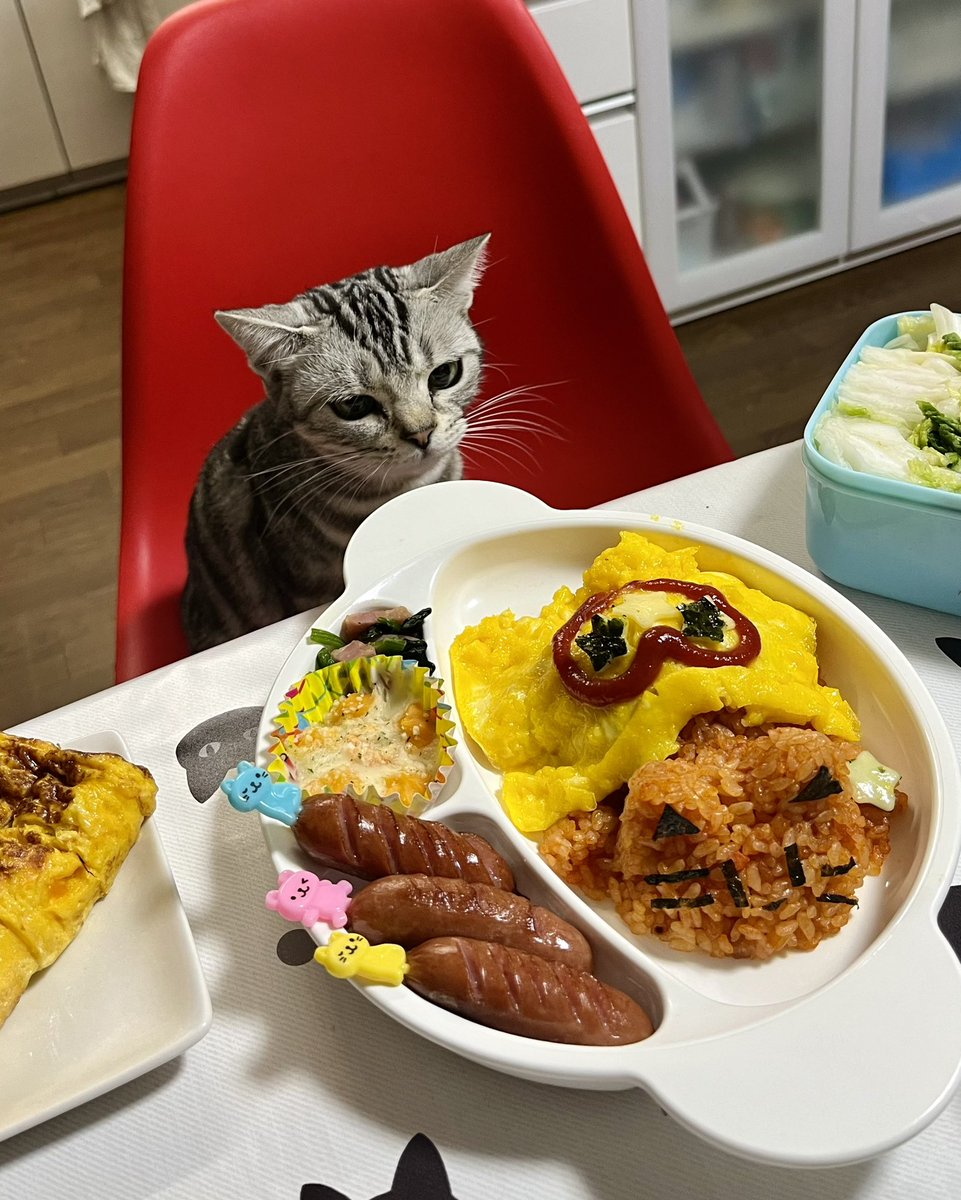 今日はいつもの便と、早朝に別の仕事を受けて荷室が満載＆混載です🚐💦

誰かのツイでビット💰上昇を知り、昔に狼狽売りしかけた口座を見て夜中に😻

昨夜は愛娘作の可愛い料理で飲み過ぎたニャ😽